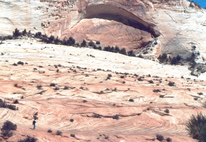 ../Images/092.Zion Canjon.jpg